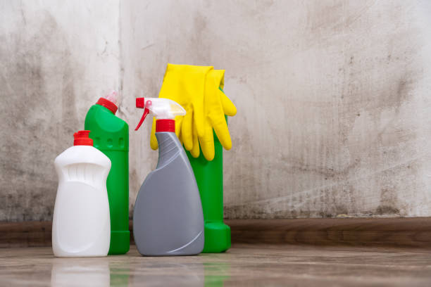 Best Mold Remediation for Rental Properties  in USA